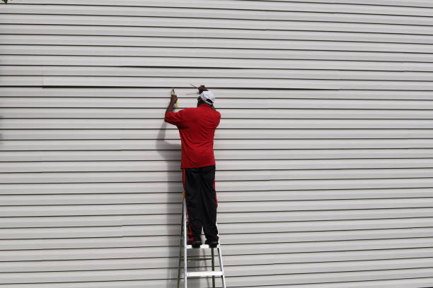 Best Fiber Cement Siding Installation  in Horizon West, FL