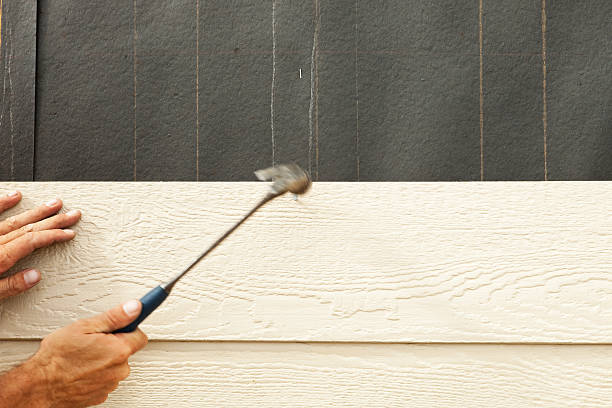 Affordable Siding Repair and Maintenance Services in Horizon West, FL